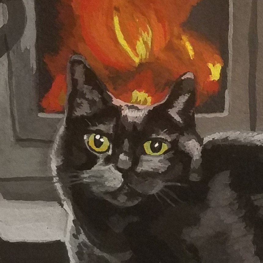 Black cat with a fire inside a wood stove behind cat