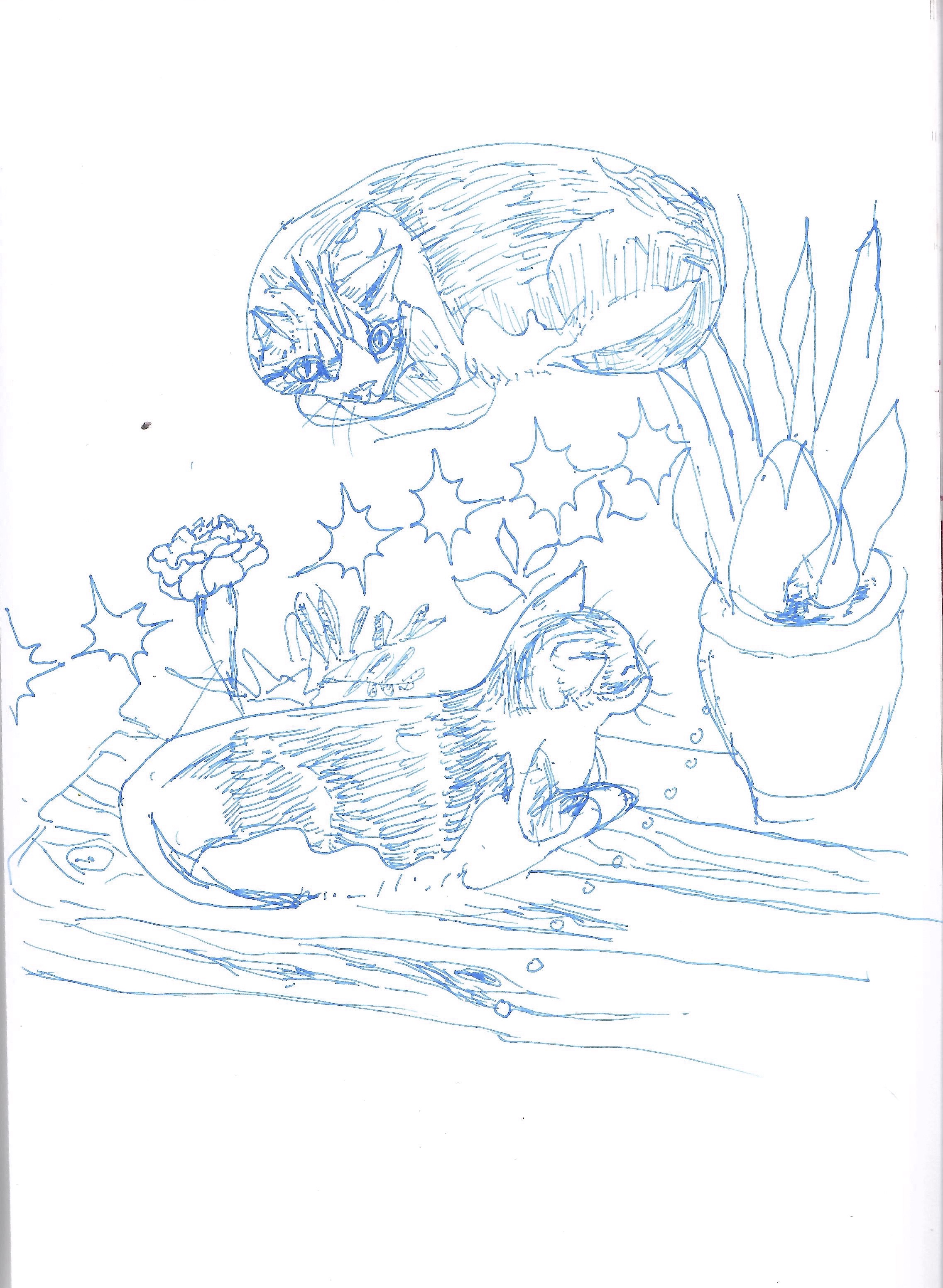 sketch of a cat next to a potted plant