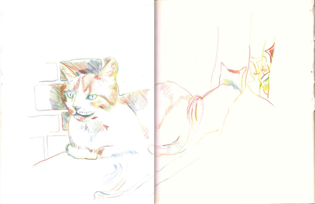 a multicolored sketch of the author's cat, smiling and looking outward